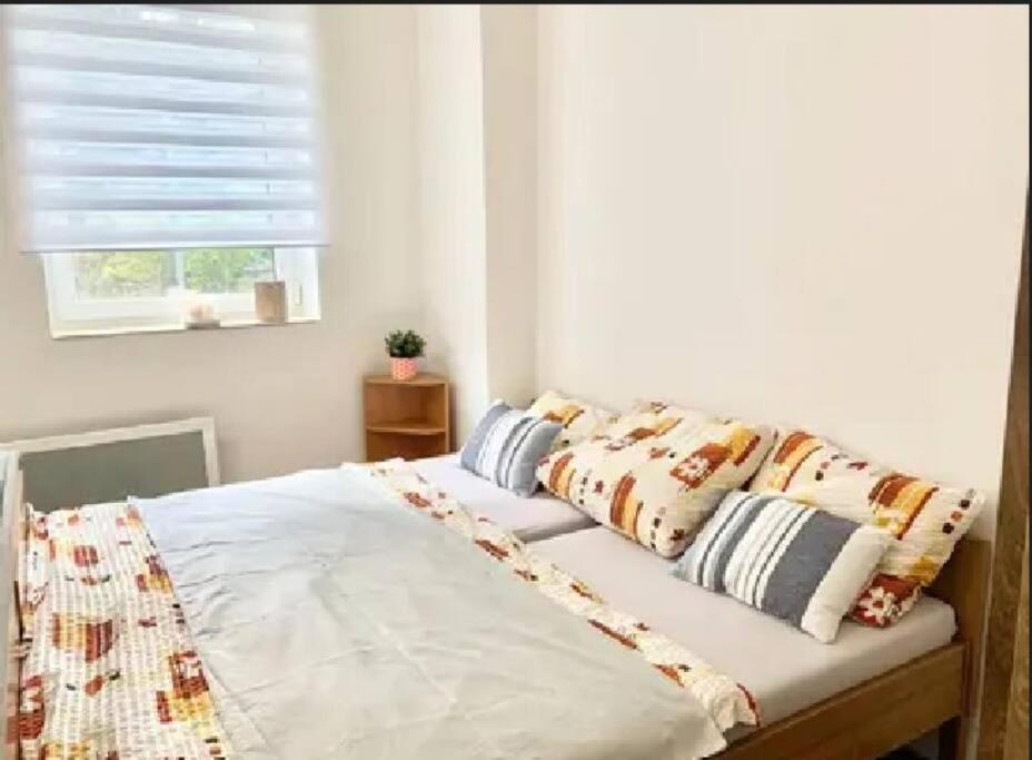 Apartment Utulny V Jizerskych Horach -apartman Mili Korenov