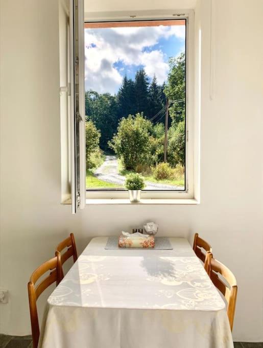 Utulny V Jizerskych Horach -apartman Mili Apartment